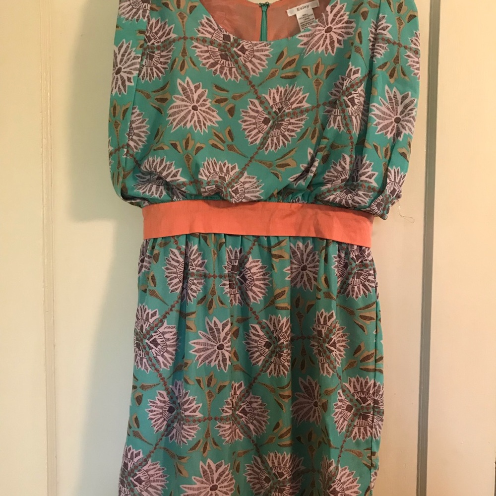 Super cute Esley dress